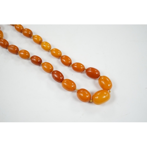 920 - A single strand graduated oval amber bead necklace, 114cm, gross weight 84 grams.