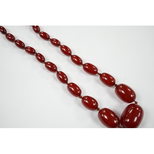 921 - A single strand graduated simulated cherry amber necklace, 88cm, gross weight 74 grams.