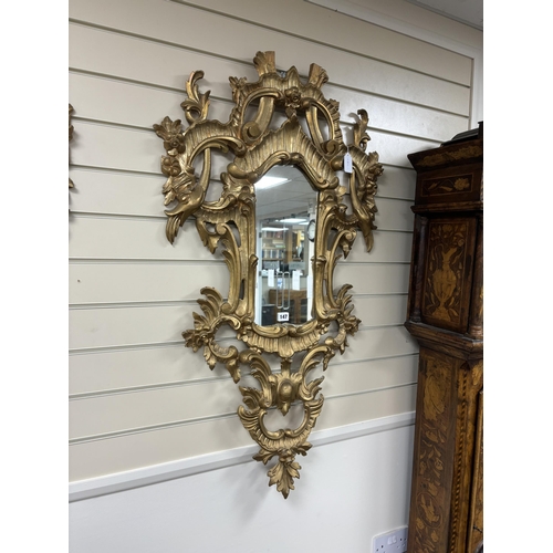 147 - A pair of 18th century style carved giltwood wall mirrors, width 64cm, height 114cm