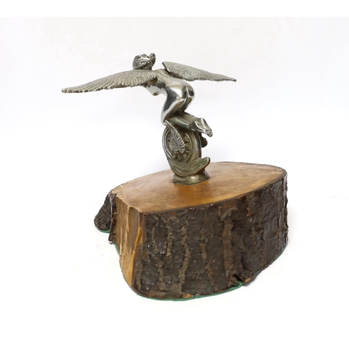 260 - A vintage chrome plated car mascot of a winged female riding a wheel, mounted on a tree trunk cross-... 