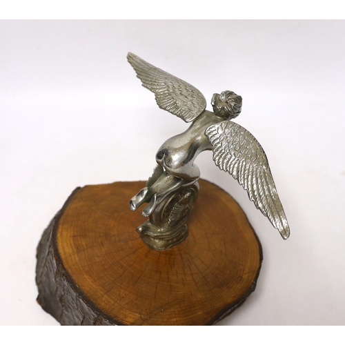 260 - A vintage chrome plated car mascot of a winged female riding a wheel, mounted on a tree trunk cross-... 