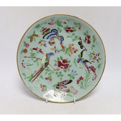 303 - A Chinese famille rose plate and a cloisonné enamel  bowl,bowl 30cm diameter