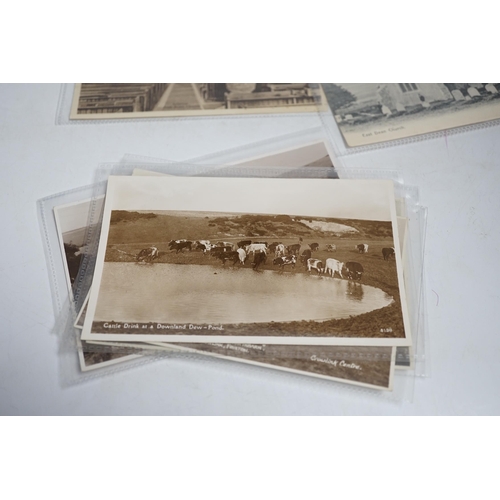 427 - A large quantity of early to mid 20th century postcards of East Sussex towns , all in individual pro... 