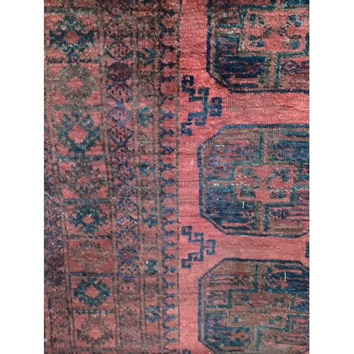 46 - An Afghan red ground carpet, 280 x 206cm