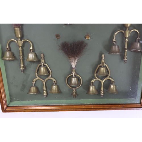 1379 - A collection of Victorian horse brass bell terrets, housed in a display case, 46cm high