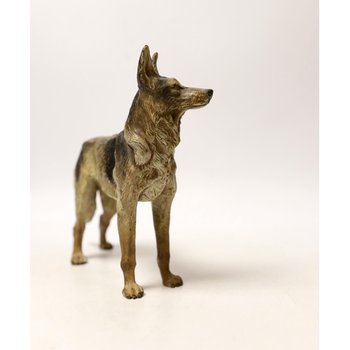 1476 - An Austrian cold painted bronze of an Alsation, given at Crufts in 1965 to the trainer/owner of Fent... 