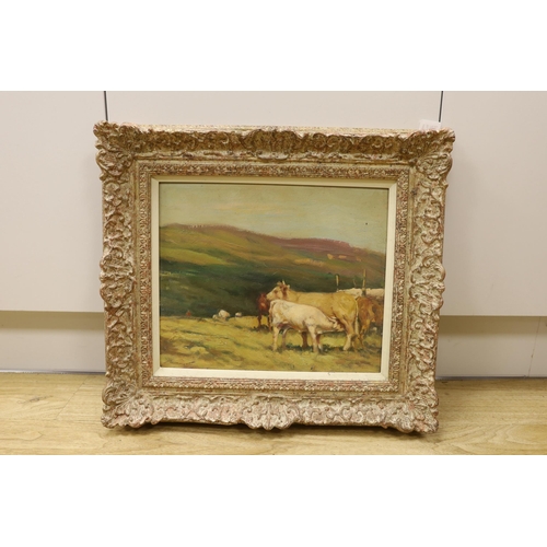 1719 - Ken Moroney (b.1949), oil on board, Cattle on a hillside, signed, 29 x 35cm