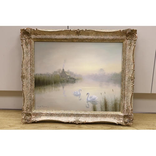 1743 - David Dane (Contemporary) oil on canvas, River landscape with swans, signed, 39 x 49cm