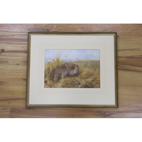 1746 - Neil Cox (b.1955), watercolour, Two partridges, signed, 25 x 34cm