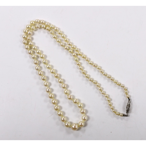 1972 - A 1960's single strand graduated cultured pearl necklace with diamond chip set 9ct white gold clasp,... 