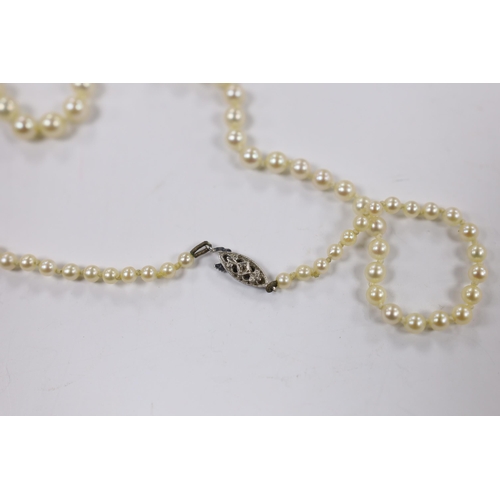 1972 - A 1960's single strand graduated cultured pearl necklace with diamond chip set 9ct white gold clasp,... 