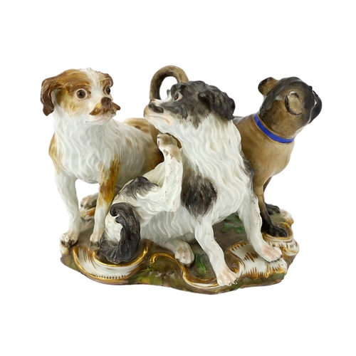 61 - A Meissen group of two terriers and a pug-dog, modelled by Kandler, 19th century, the dogs standing ... 