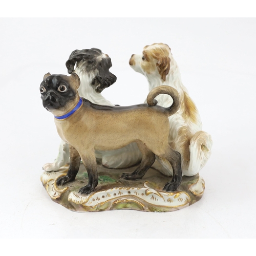 61 - A Meissen group of two terriers and a pug-dog, modelled by Kandler, 19th century, the dogs standing ... 