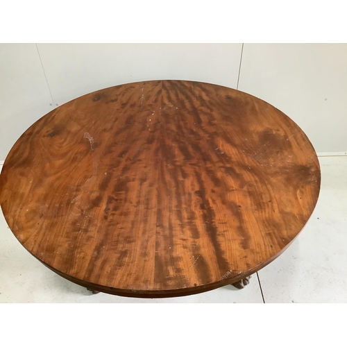 2098 - A William IV circular mahogany tilt top breakfast table, diameter 129cm, height 71cm