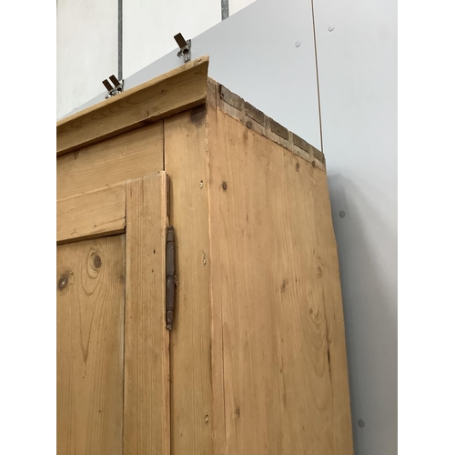 1060 - A Victorian pine single door cupboard, width 91cm, depth 46cm, height 191cm