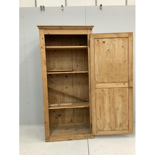 1060 - A Victorian pine single door cupboard, width 91cm, depth 46cm, height 191cm