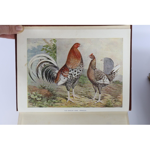 270 - ° ° Tegetmeier, W.B. - The Poultry Book: comprising the breeding and management of profitable and or... 