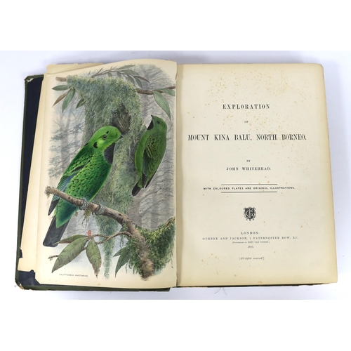 331 - ° ° Whitehead, John - Exploration of Mount Kina Balu, North Borneo....32 plates (mostly hand coloure... 