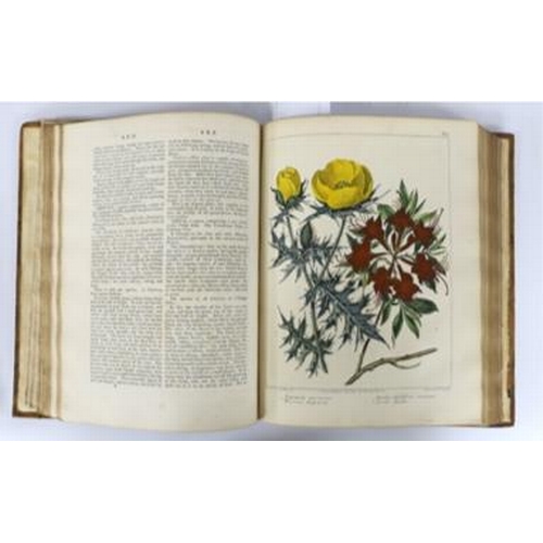 336 - ° ° Dickson, Richard Watson (McDonald, Alexander) - A Complete Dictionary of Practical Gardening... 