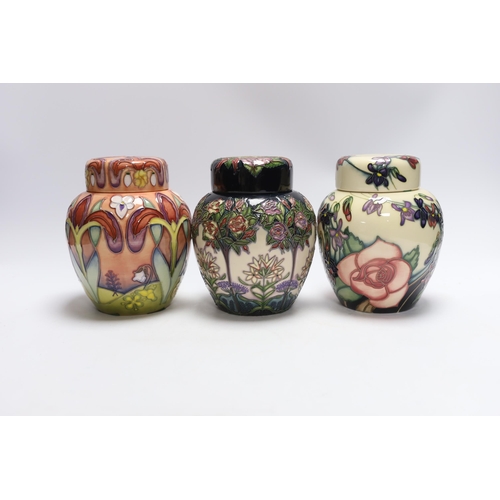 467 - Three Moorcroft Shakespeare collection ginger jars; Winter's Tale, Romeo & Juliet and Twelfth Night ... 