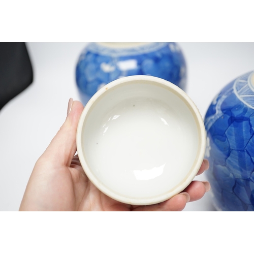 504 - A pair of Chinese blue and white prunus jars and covers, late 19th century, 21.5cm