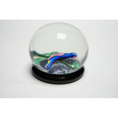 602 - A Paul Ysart blue parrot footed glass magnum paperweight, Caithness period, PY cane, blue jasper... 