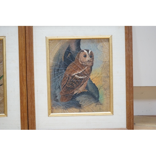 716 - Narong, pair of Thai oil paintings on leaves, Kingfisher and Tawny owl, each signed, 24 x 20cm... 