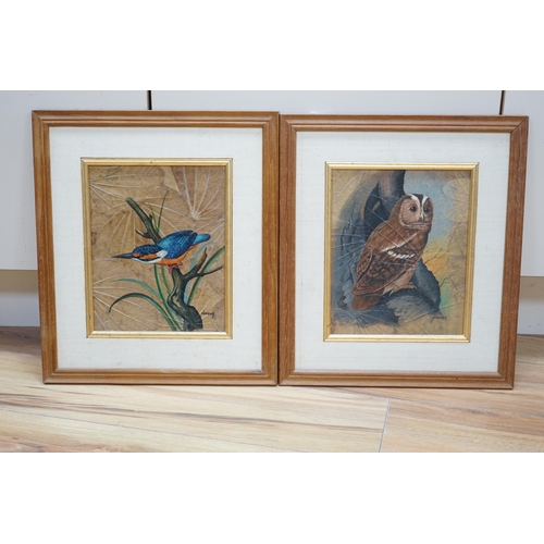 716 - Narong, pair of Thai oil paintings on leaves, Kingfisher and Tawny owl, each signed, 24 x 20cm... 