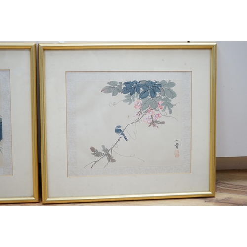 722 - Japanese School, pair of watercolours, Birds amongst foliage, 20 x 25cm