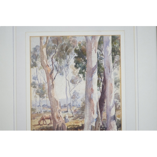 763 - Douglas Pratt (Australian, 1900-1972), watercolour, Woodland landscape with horses, signed and dated... 