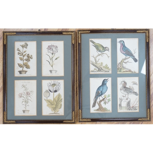 767 - Four 18th century colour engravings, mounted and framed as a pair, Birds and flowers including The S... 