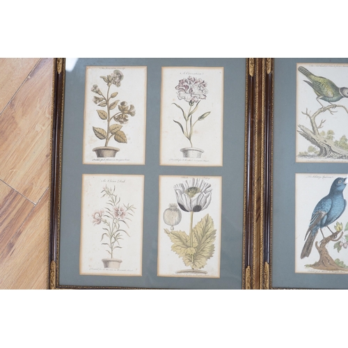 767 - Four 18th century colour engravings, mounted and framed as a pair, Birds and flowers including The S... 