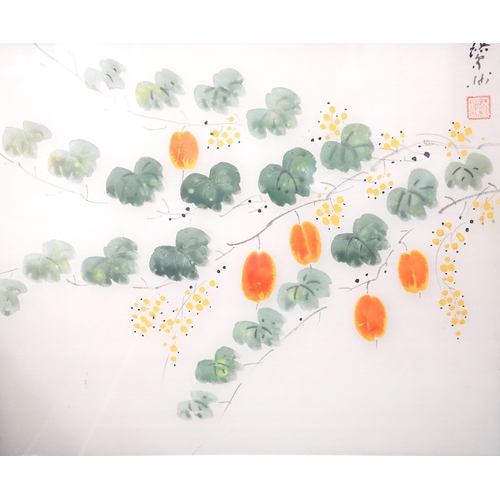 768 - Chinese School, watercolour on silk, Persimmons and plums, 33 x 40cm