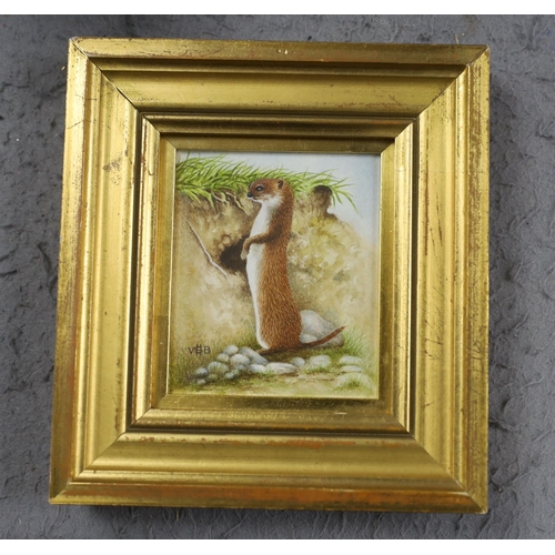 780 - Victor H S Burroughs (1900-1979) miniature watercolour, study of a ferret, monogrammed, 8 x 6.5cm... 