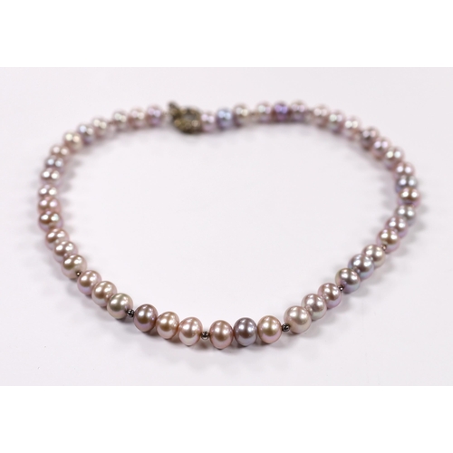 901 - A single strand South Sea cultured pearl necklace, with sterling clasp, 48cm, in Pruden & Smith box ... 