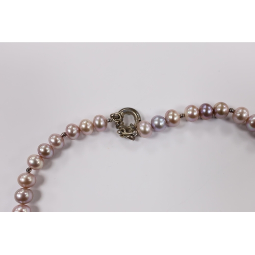 901 - A single strand South Sea cultured pearl necklace, with sterling clasp, 48cm, in Pruden & Smith box ... 