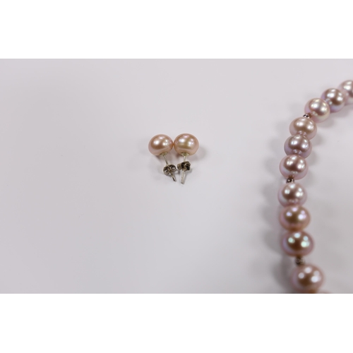 901 - A single strand South Sea cultured pearl necklace, with sterling clasp, 48cm, in Pruden & Smith box ... 