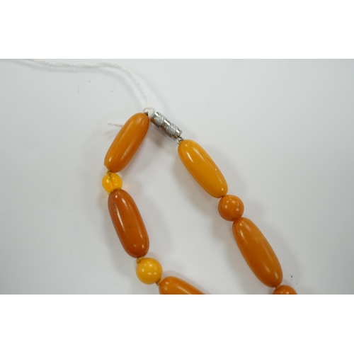 1951 - A single strand amber bead necklace, 50cm, gross weight 32 grams.