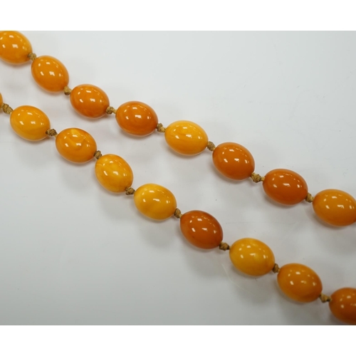 1952 - A long single strand oval amber bead necklace, 156cm, gross weight 89 grams.