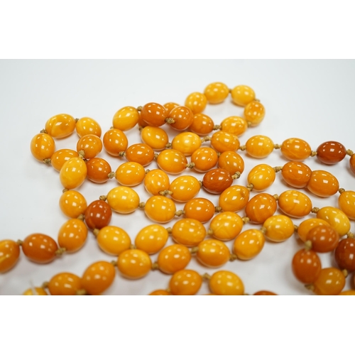 1952 - A long single strand oval amber bead necklace, 156cm, gross weight 89 grams.