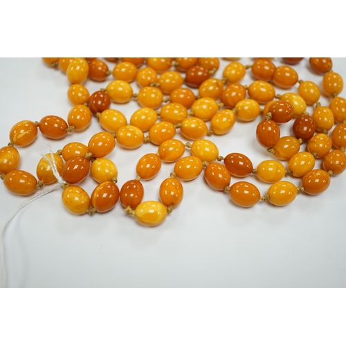 1952 - A long single strand oval amber bead necklace, 156cm, gross weight 89 grams.