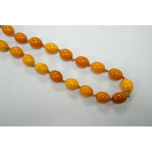 1952 - A long single strand oval amber bead necklace, 156cm, gross weight 89 grams.