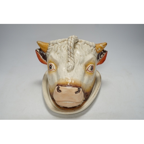 256 - A Victorian cows head pottery cheese dish and cover, 18cm