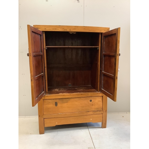 1001 - A Chinese elm cabinet, width 115cm, depth 55cm, height 169cm