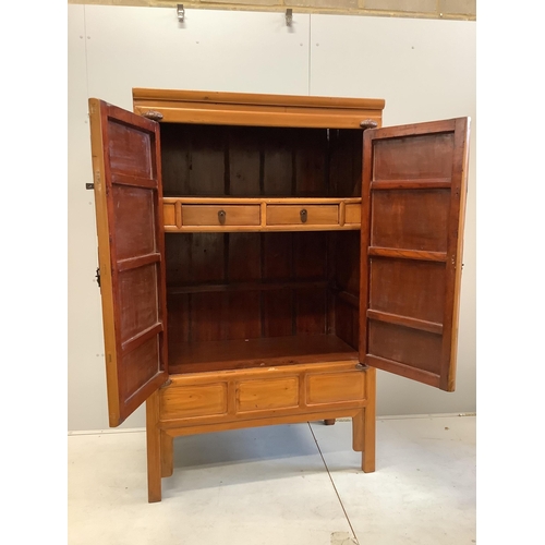 1095 - A Chinese elm cabinet, width 108cm, depth 60cm, height 177cm