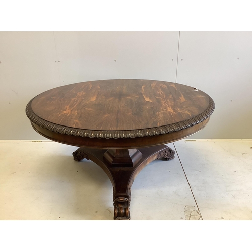 179 - A William IV circular rosewood centre table, the tilt top with lappet carved edge on single tapered ... 