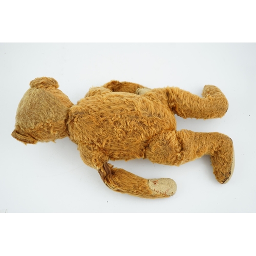 358 - A cinnamon Steiff bear  c.1908, with button paw pads, stuffing missing in arms, hair loss to head, m... 