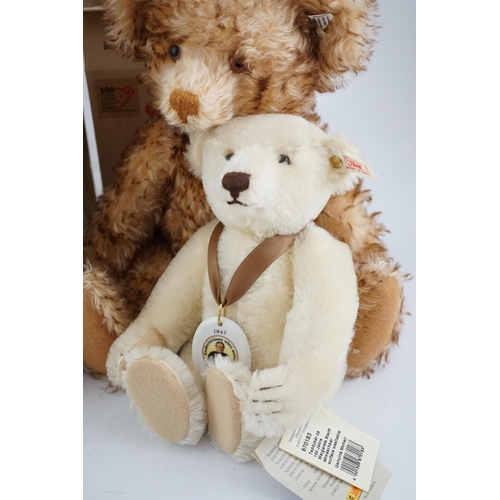 363 - White label bear 1926, 1997 white bear, 150 years of Steiff, white label Petsy chest label missing w... 