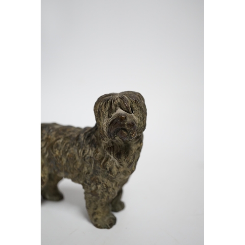 600 - A cold painted bronze model of a dog, 11cm wide