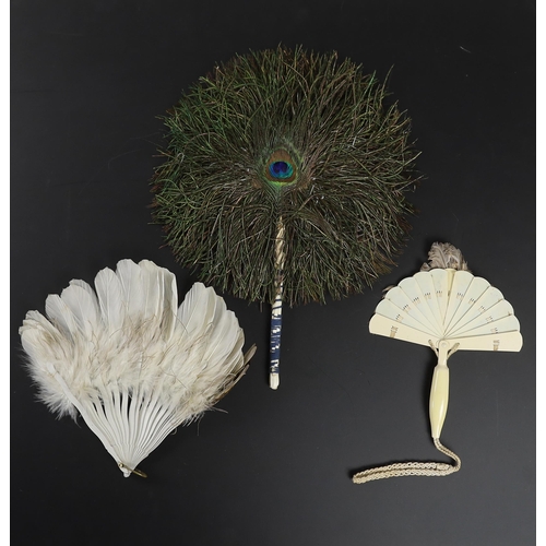 360 - Two Edwardian early 1920s feather fans with unusual bird decoration together with a peacock fan, on... 